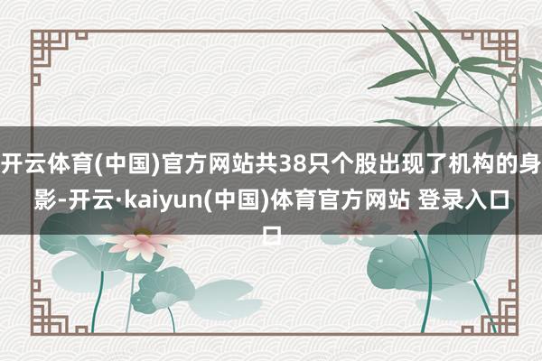 开云体育(中国)官方网站共38只个股出现了机构的身影-开云·kaiyun(中国)体育官方网站 登录入口