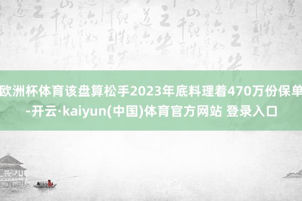 欧洲杯体育该盘算松手2023年底料理着470万份保单-开云·kaiyun(中国)体育官方网站 登录入口