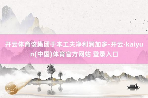开云体育该集团于本工夫净利润加多-开云·kaiyun(中国)体育官方网站 登录入口