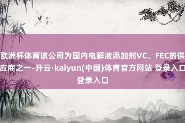 欧洲杯体育该公司为国内电解液添加剂VC、FEC的供应商之一-开云·kaiyun(中国)体育官方网站 登录入口