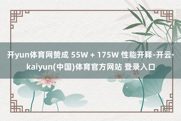 开yun体育网赞成 55W + 175W 性能开释-开云·kaiyun(中国)体育官方网站 登录入口