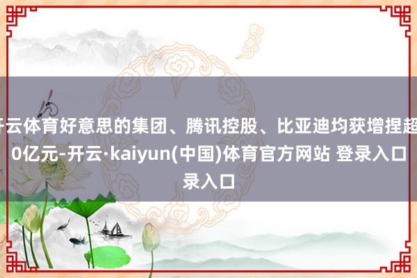 开云体育好意思的集团、腾讯控股、比亚迪均获增捏超70亿元-开云·kaiyun(中国)体育官方网站 登录入口