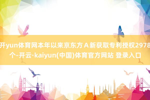 开yun体育网本年以来京东方Ａ新获取专利授权2978个-开云·kaiyun(中国)体育官方网站 登录入口